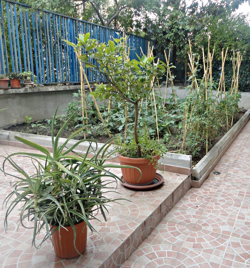 Lunablù Bed & Breakfast 3*
